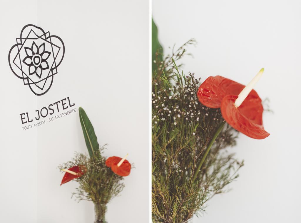El Jostel Bed & Breakfast Santa Cruz de Tenerife Luaran gambar